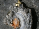 Chalcedon Rosette