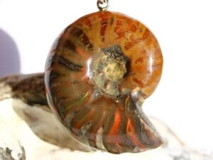 Ammonite Silberöse Anhänger Öse versteinerte Schnecke Versteinerung