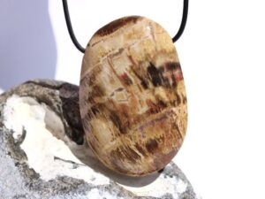 Versteinertes Holz XXXL Trommelstein gebohrt